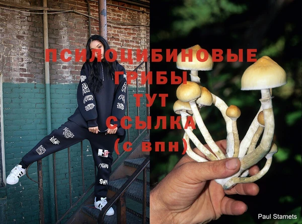 МДПВ Балабаново